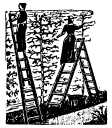couple on ladders