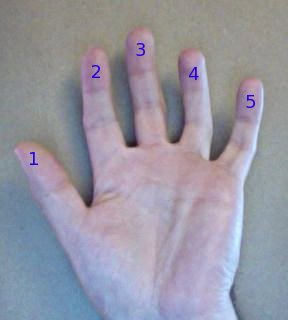 a hand, with numbers