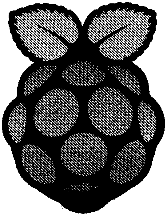 raspberry-pi-logo-miniprinter
