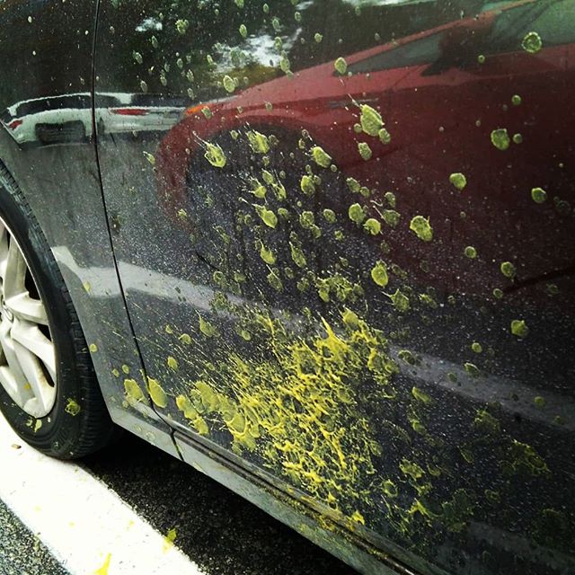 Yeah, about that pouch of baby food you dropped in the parking lot …