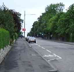 Southbrae Drive; more cars in the bike lane